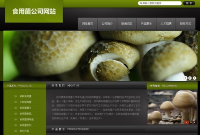 专业网页设计与网站制作 打造您的数字门户与品牌名片